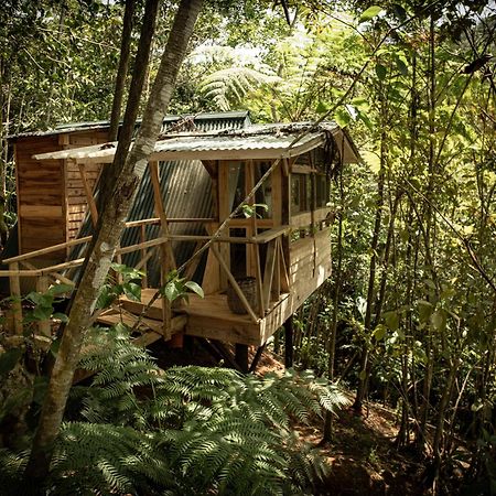 Cunae Ecolodge San Francisco de Macorís Exteriér fotografie
